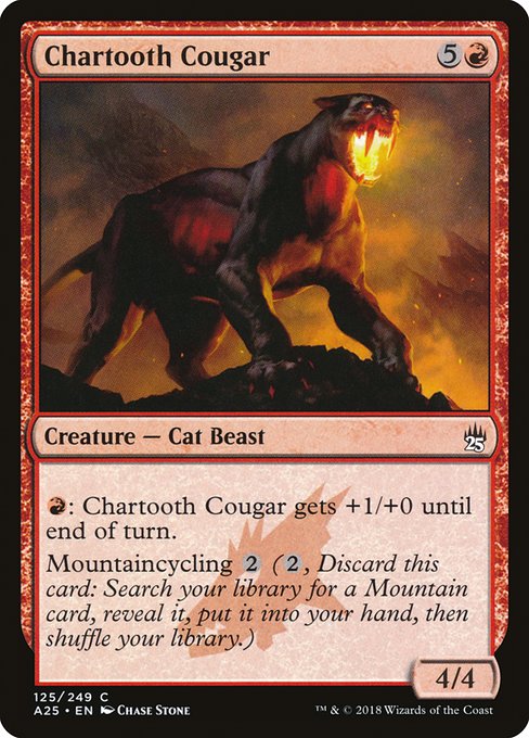 Chartooth Cougar [Masters 25 - 125]