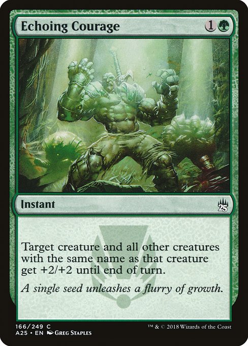 Echoing Courage [Masters 25 - 166]