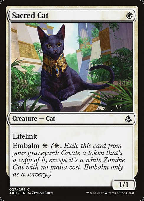 Sacred Cat [Amonkhet - 27]
