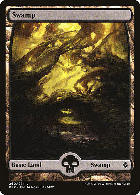 Swamp [Battle for Zendikar - 260]