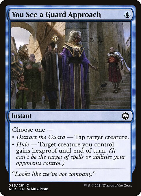 You See a Guard Approach [Adventures in the Forgotten Realms - 85]