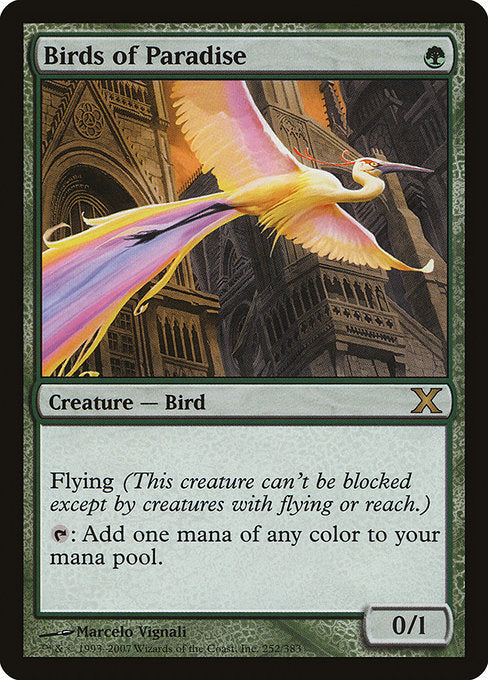 Birds of Paradise [Tenth Edition - 252]