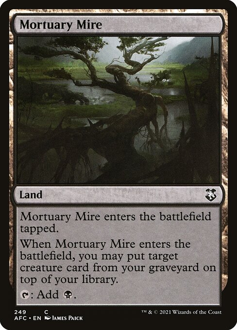 Mortuary Mire [Forgotten Realms Commander - 249]