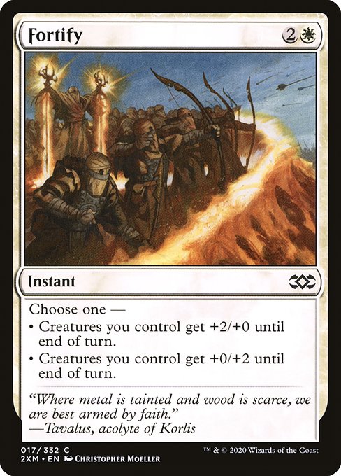 Fortify [Double Masters - 17]
