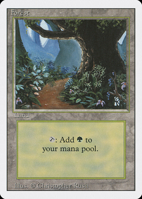 Forest [Revised Edition - 305]
