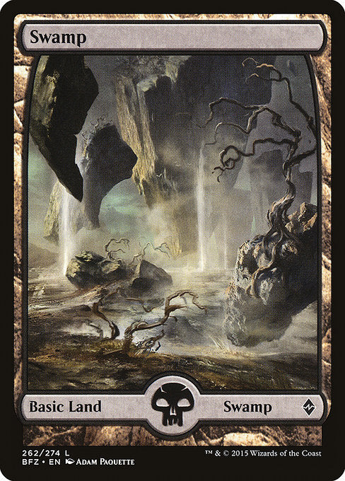 Swamp [Battle for Zendikar - 262]