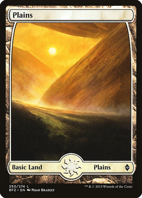 Plains [Battle for Zendikar - 250]