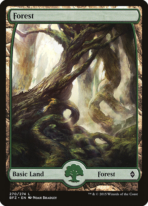 Forest [Battle for Zendikar - 270]