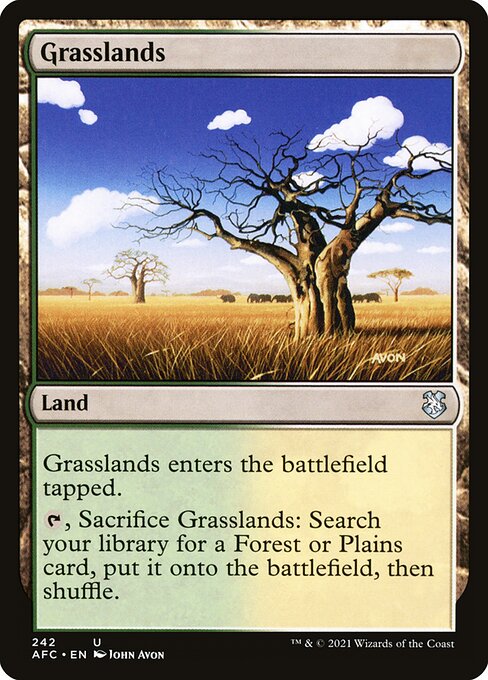 Grasslands [Forgotten Realms Commander - 242]