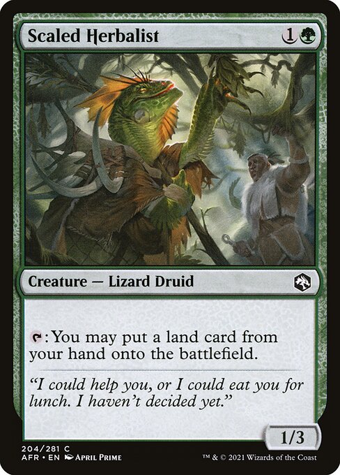 Scaled Herbalist [Adventures in the Forgotten Realms - 204]
