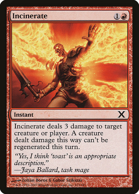 Incinerate [Tenth Edition - 213]