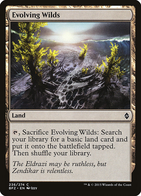 Evolving Wilds [Battle for Zendikar - 236]