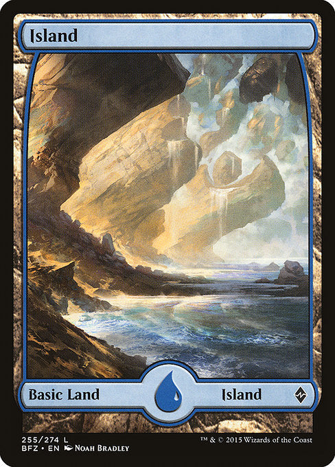 Island [Battle for Zendikar - 255]