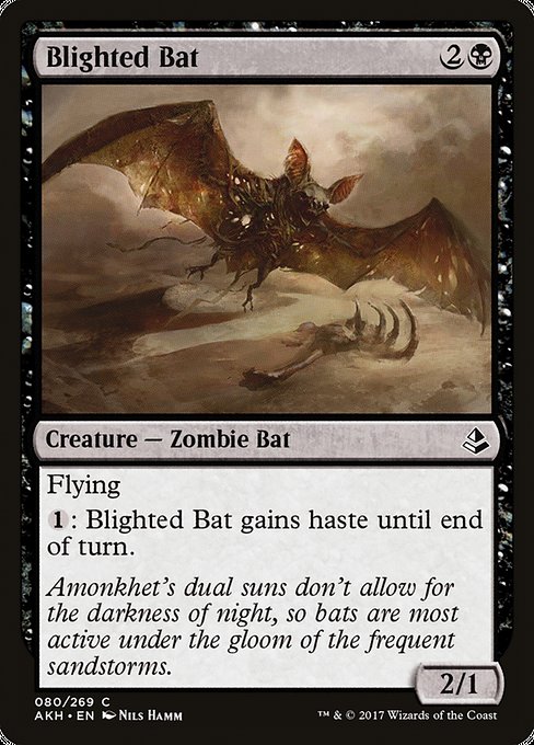 Blighted Bat [Amonkhet - 80]