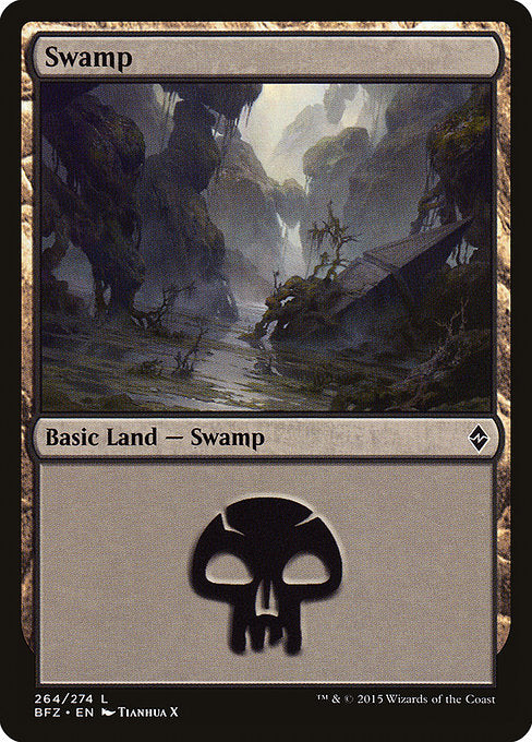 Swamp [Battle for Zendikar - 264a]