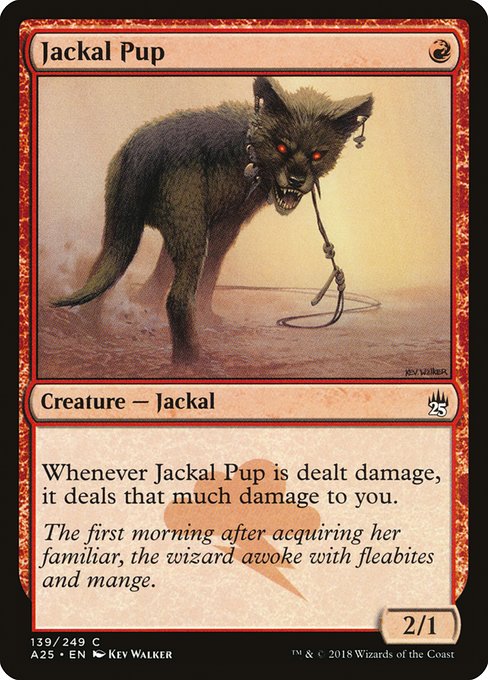 Jackal Pup [Masters 25 - 139]