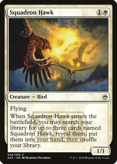 Squadron Hawk [Masters 25 - 34]