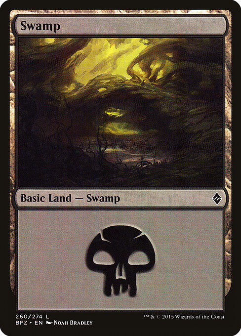 Swamp [Battle for Zendikar - 260a]
