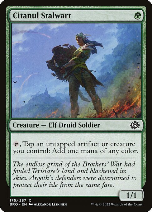 Citanul Stalwart [The Brothers' War - 175]
