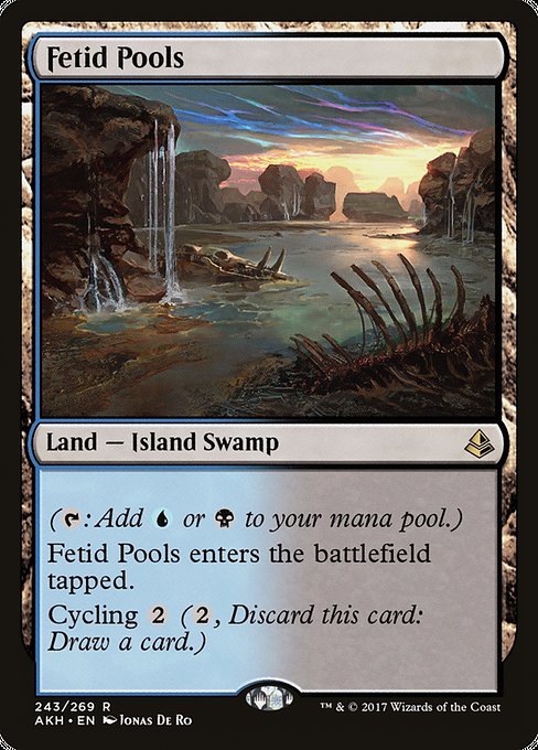 Fetid Pools [Amonkhet - 243]