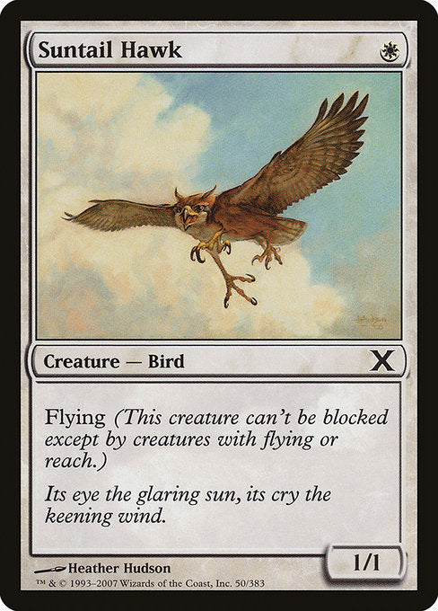 Suntail Hawk [Tenth Edition - 50]