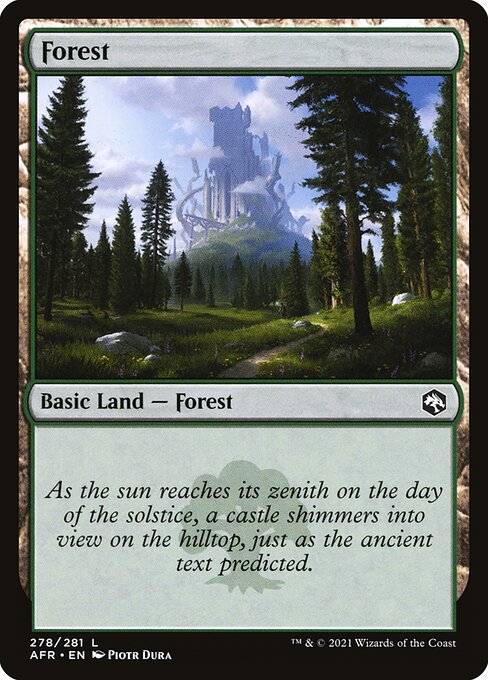 Forest [Adventures in the Forgotten Realms - 278]