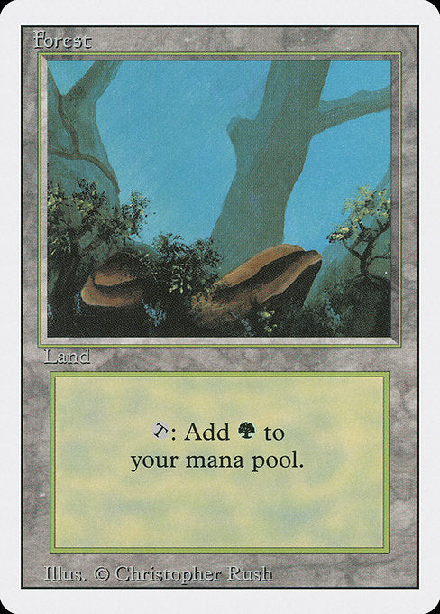 Forest [Revised Edition - 304]
