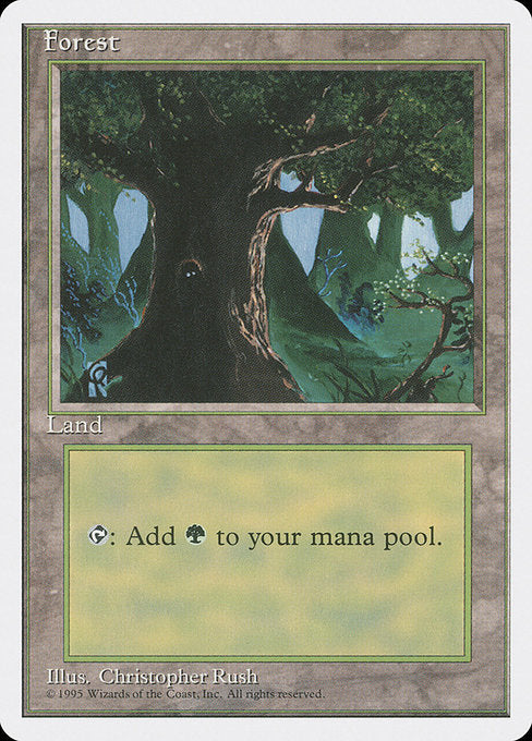 Forest [Fourth Edition - 378]