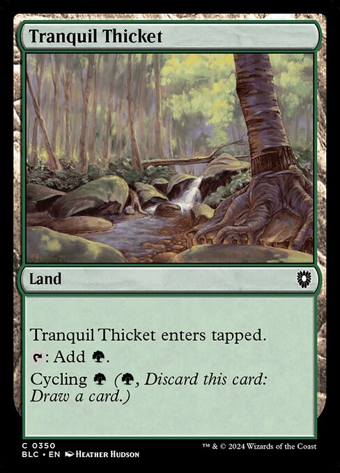 Tranquil Thicket [Bloomburrow Commander - 350]