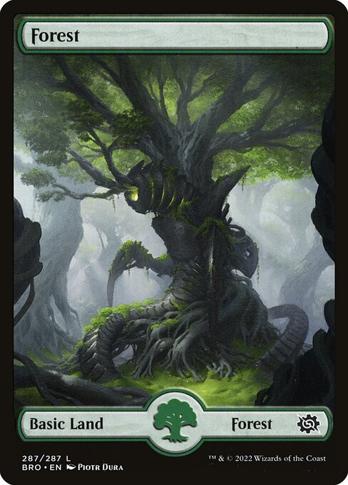 Forest [The Brothers' War - 287]