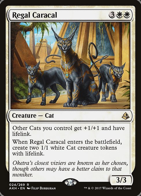 Regal Caracal [Amonkhet - 24]