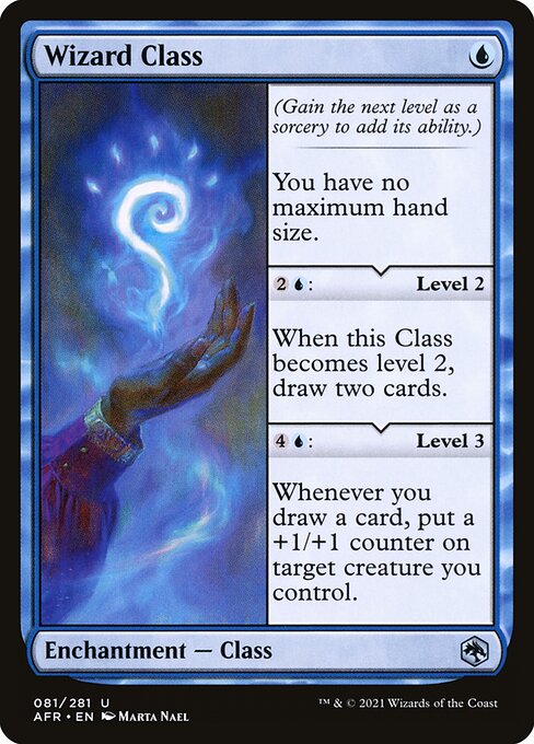 Wizard Class [Adventures in the Forgotten Realms - 81]