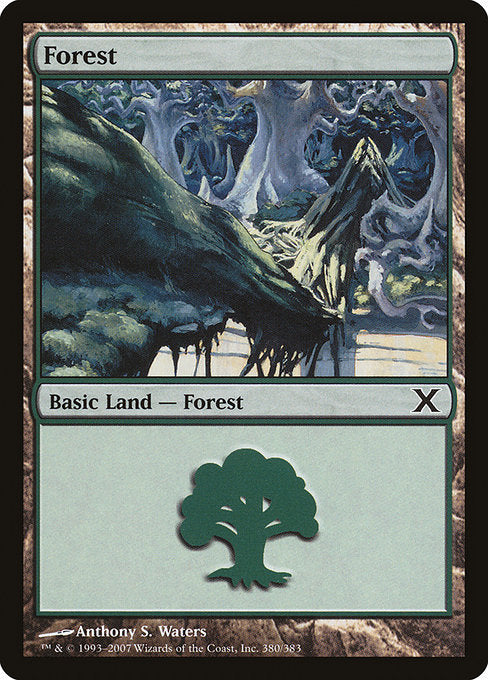 Forest [Tenth Edition - 380]