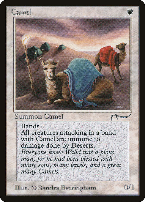 Camel [Arabian Nights - 3]