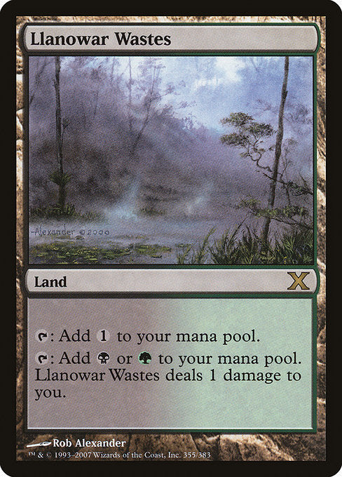 Llanowar Wastes [Tenth Edition - 355]