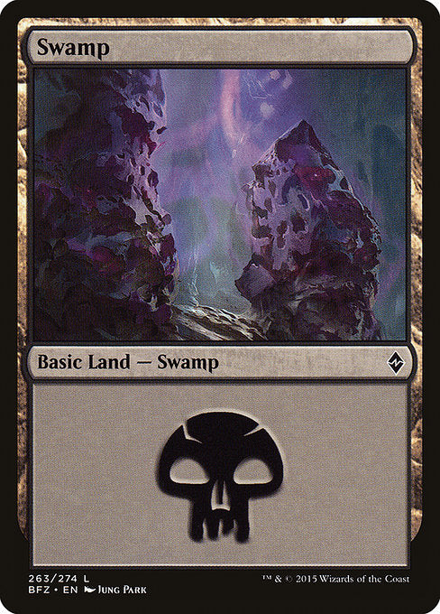 Swamp [Battle for Zendikar - 263a]